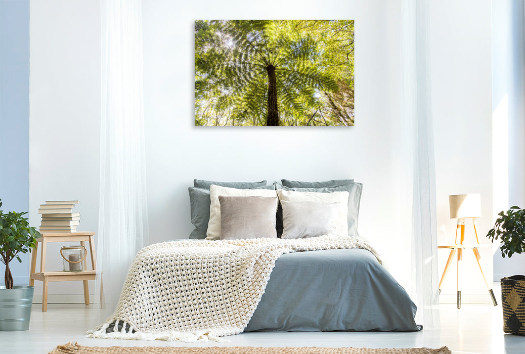 Premium textile canvas Premium textile canvas 120 cm x 80 cm landscape fern roof, New Zealand, Trounson Kauri Park 