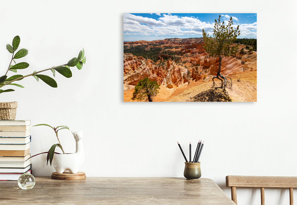 Premium textile canvas Premium textile canvas 120 cm x 80 cm landscape air tree, USA, Bryce Canyon 