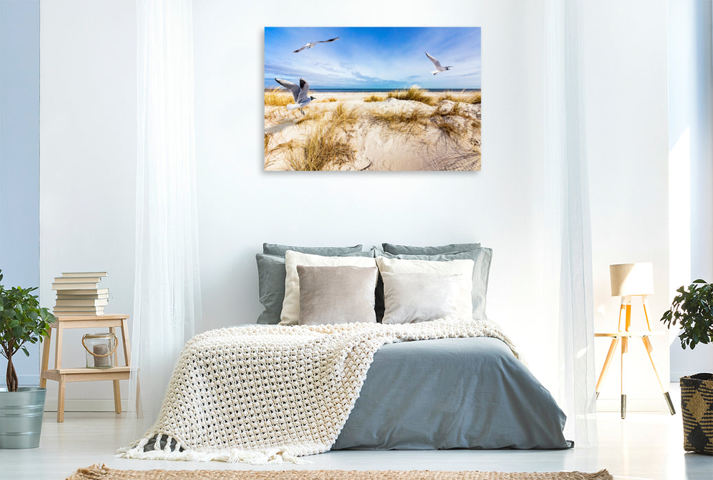 Premium textile canvas Premium textile canvas 120 cm x 80 cm landscape Seagulls on the beach in Prerow 