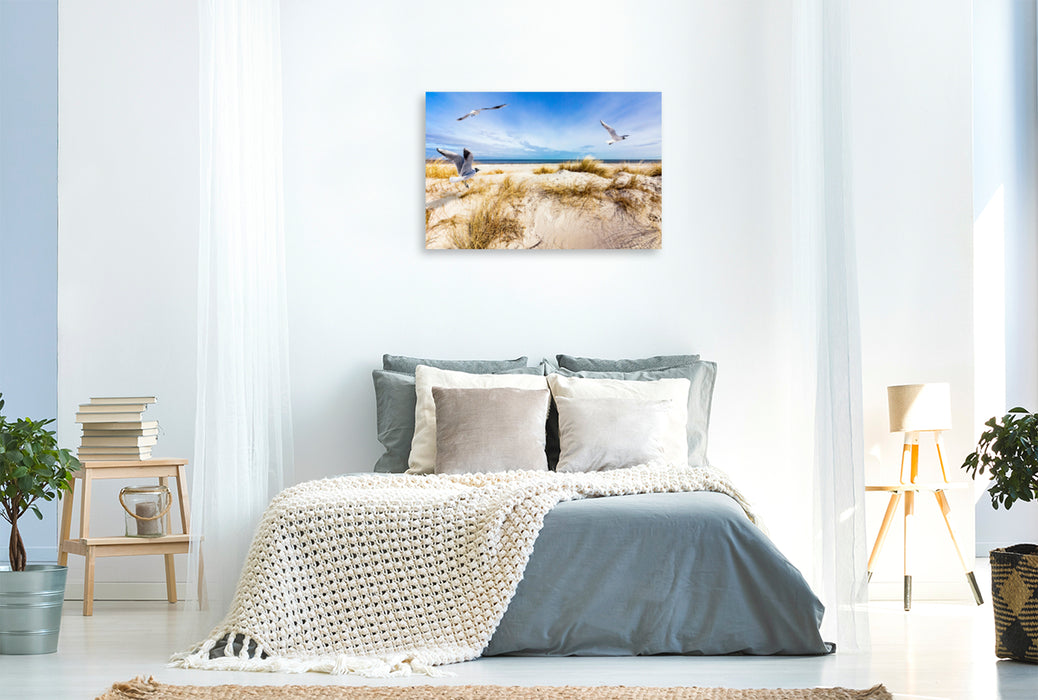 Premium textile canvas Premium textile canvas 120 cm x 80 cm landscape Seagulls on the beach in Prerow 