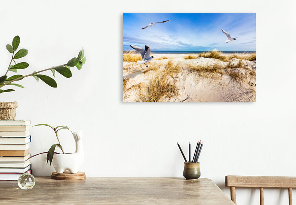 Premium textile canvas Premium textile canvas 120 cm x 80 cm landscape Seagulls on the beach in Prerow 