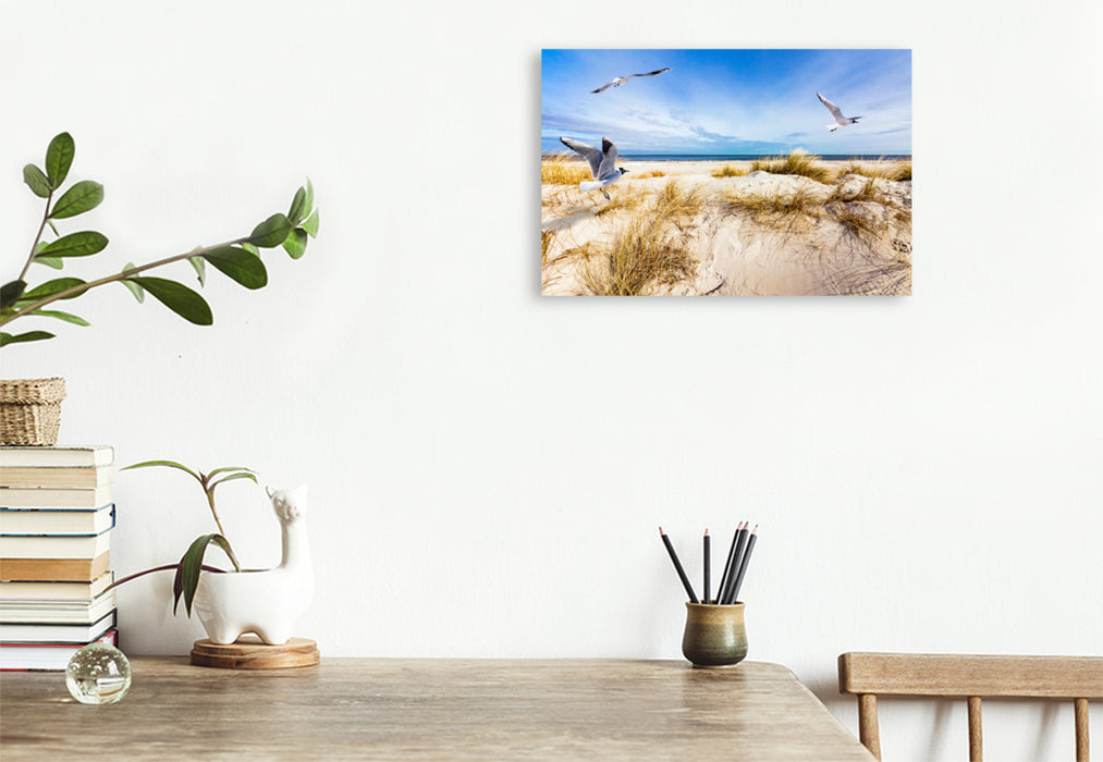 Premium textile canvas Premium textile canvas 120 cm x 80 cm landscape Seagulls on the beach in Prerow 