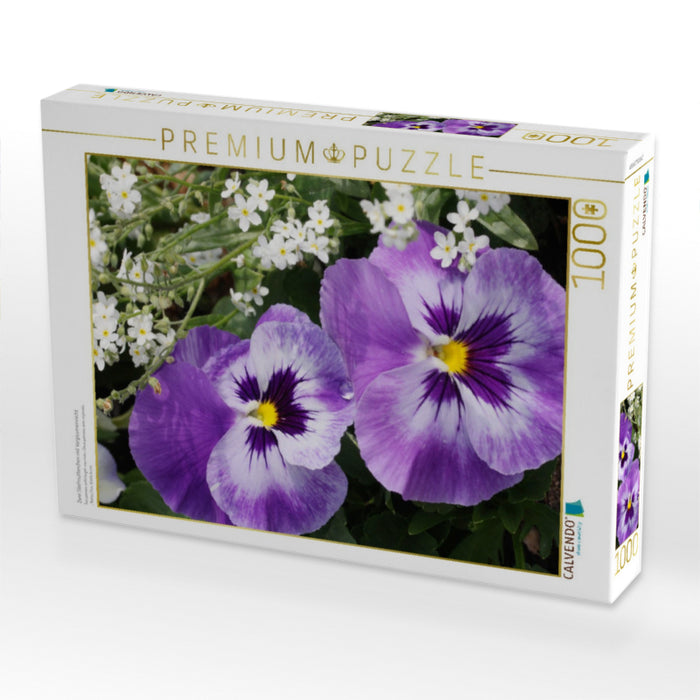 Zwei Stiefmütterchen mit Vergissmeinnicht - CALVENDO Foto-Puzzle'