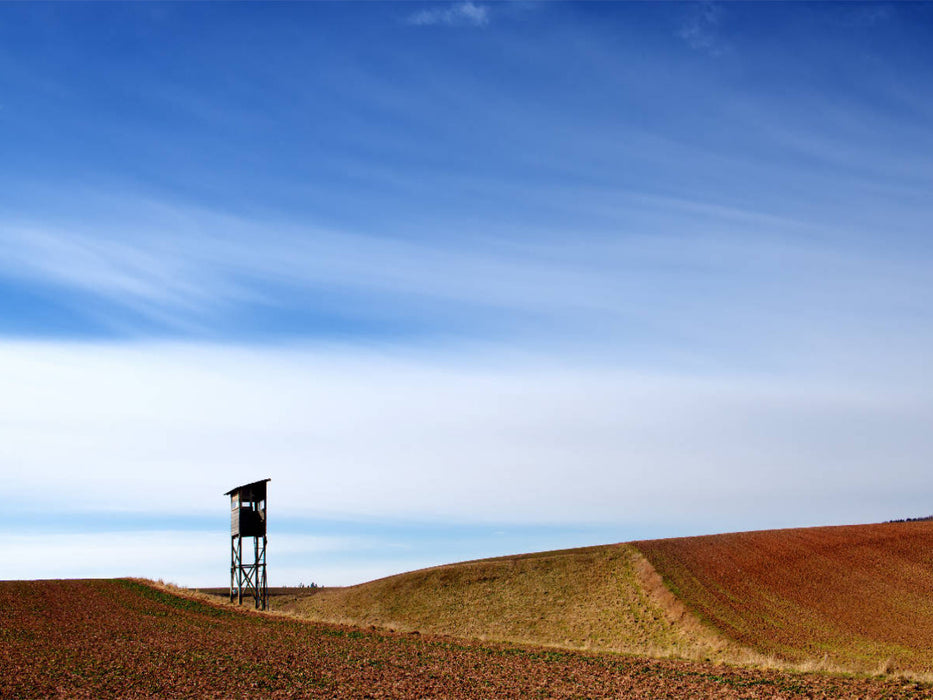 Februarmorgen, Hochsitz am Feldrand - CALVENDO Foto-Puzzle'