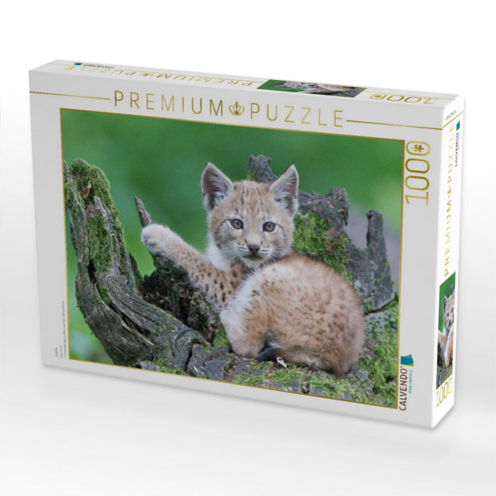 Luchs - CALVENDO Foto-Puzzle'