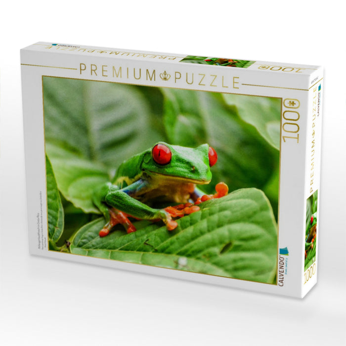 Rotaugenlaubfrosch in Costa Rica - CALVENDO Foto-Puzzle'