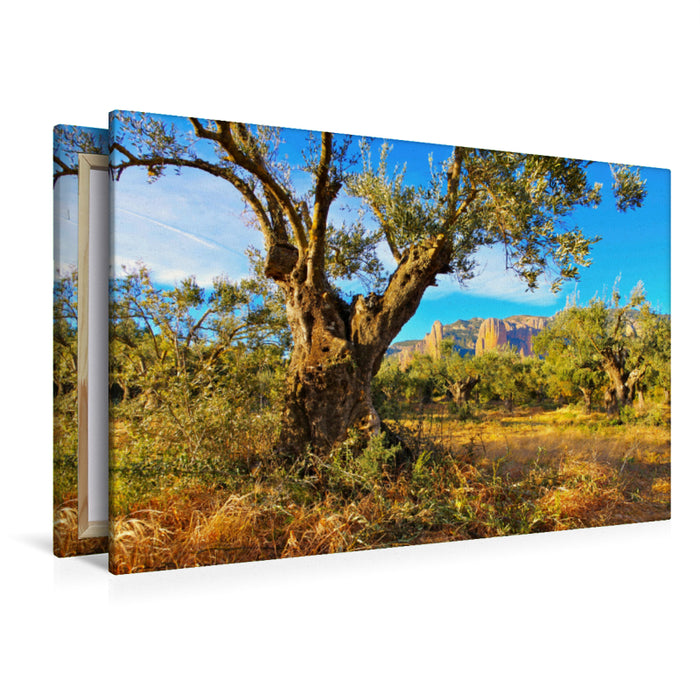 Premium Textil-Leinwand Mallos de Riglos