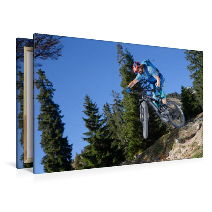 Premium Textil-Leinwand E- Bike Sprung