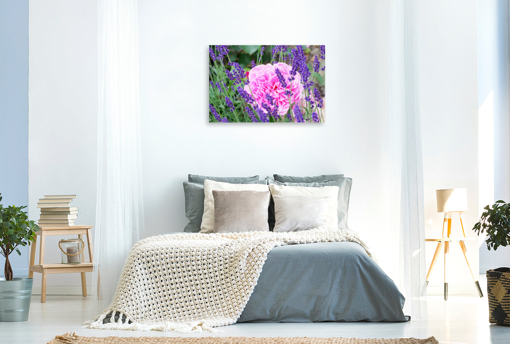 Premium Textil-Leinwand Premium Textil-Leinwand 120 cm x 80 cm quer Rose im Lavendel