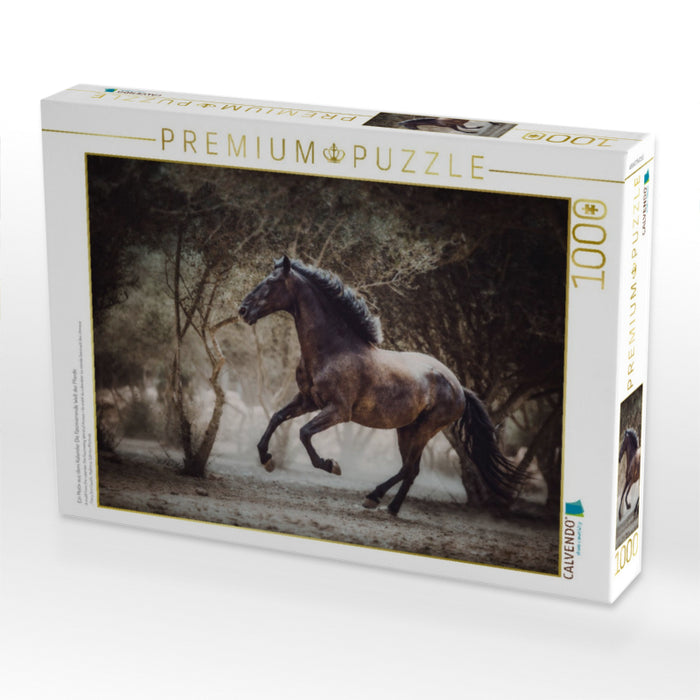 Ein Motiv aus dem Kalender Die Faszinierende Welt der Pferde - CALVENDO Foto-Puzzle'