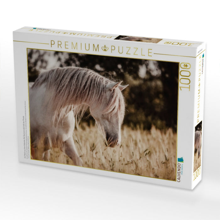 Ein Motiv aus dem Kalender Die Faszinierende Welt der Pferde - CALVENDO Foto-Puzzle'