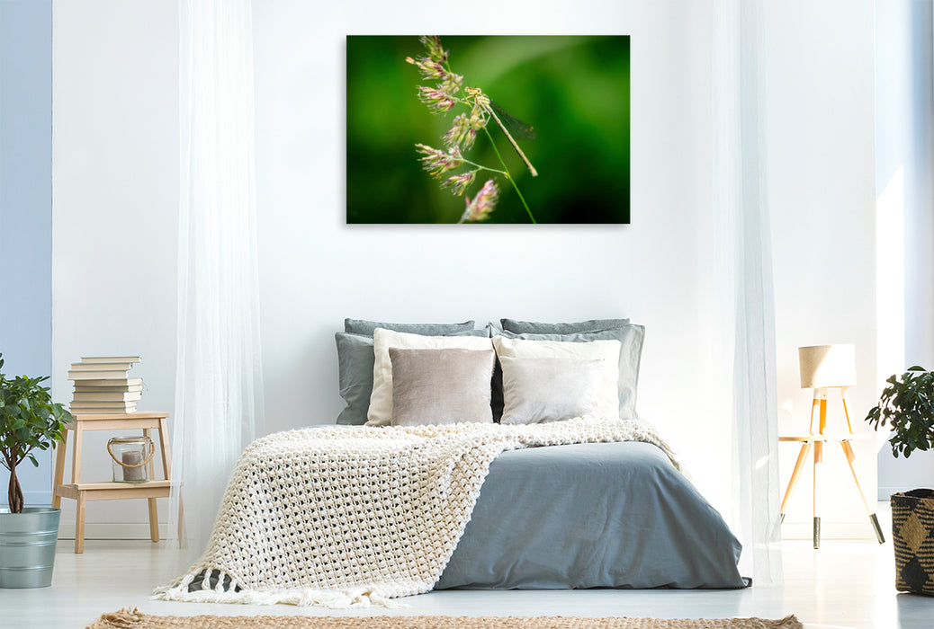 Premium textile canvas Premium textile canvas 120 cm x 80 cm landscape Rush maiden 