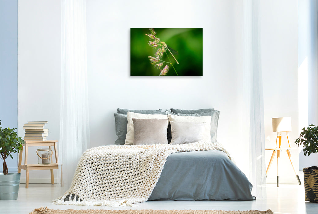 Premium textile canvas Premium textile canvas 120 cm x 80 cm landscape Rush maiden 