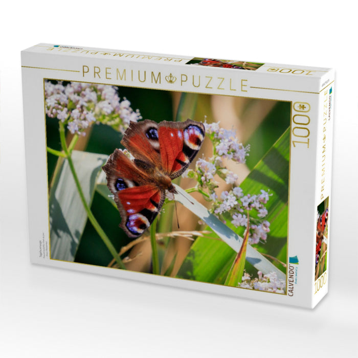 Tagpfauenauge - CALVENDO Foto-Puzzle'