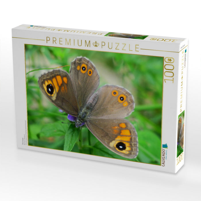 Braunauge - CALVENDO Foto-Puzzle'