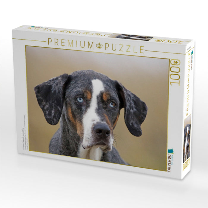 Louisiana Catahoula Leopard Dog - CALVENDO Foto-Puzzle'