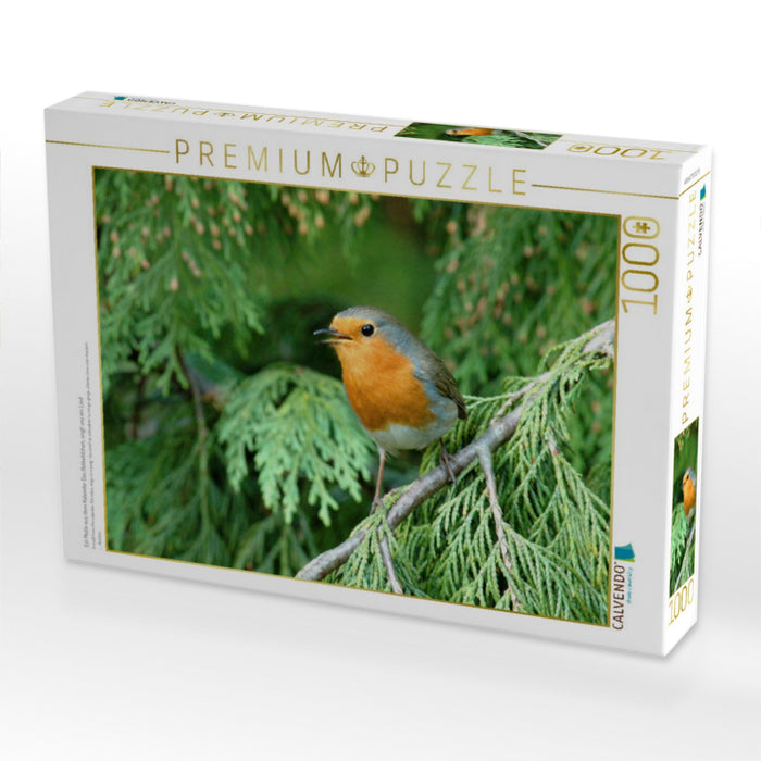 Ein Motiv aus dem Kalender Das Rotkehlchen, singt uns ein Lied - CALVENDO Foto-Puzzle'
