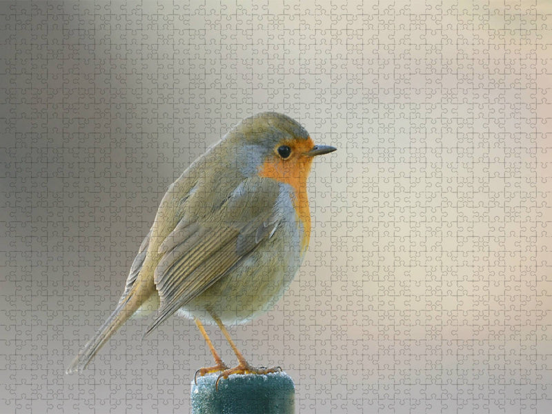Es wird Winter - CALVENDO Foto-Puzzle'
