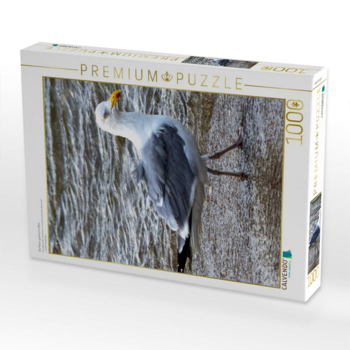 Die Möwe spaziert ins Meer - CALVENDO Foto-Puzzle'