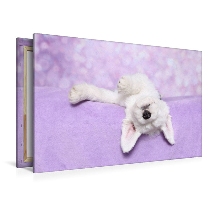 Toile textile premium Toile textile premium 120 cm x 80 cm paysage Bobtail / Old English Sheepdog 