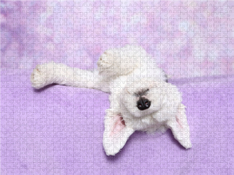 Bobtail / Old English Sheepdog - CALVENDO photo puzzle 