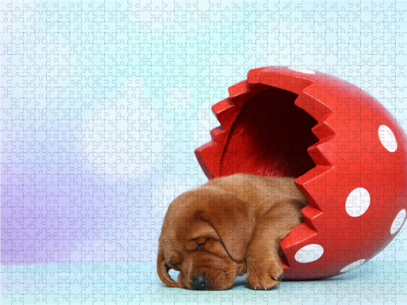 Labrador Retriever Welpe / Labrador Retriever Puppy 1000 Teile Puzzle quer - CALVENDO Foto-Puzzle'