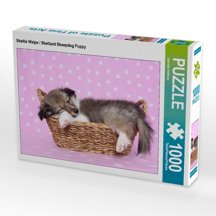 Sheltie Welpe / Shetland Sheepdog Puppy 1000 Teile Puzzle quer - CALVENDO Foto-Puzzle'