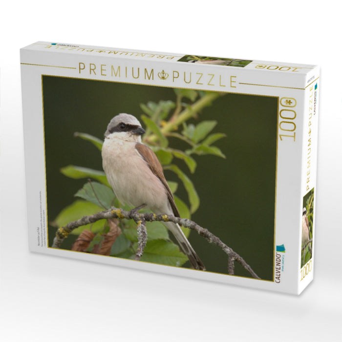 Neuntöter auf Ast - CALVENDO Foto-Puzzle'