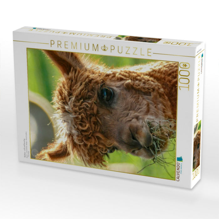 Alpakas - süß und flauschig - CALVENDO Foto-Puzzle'