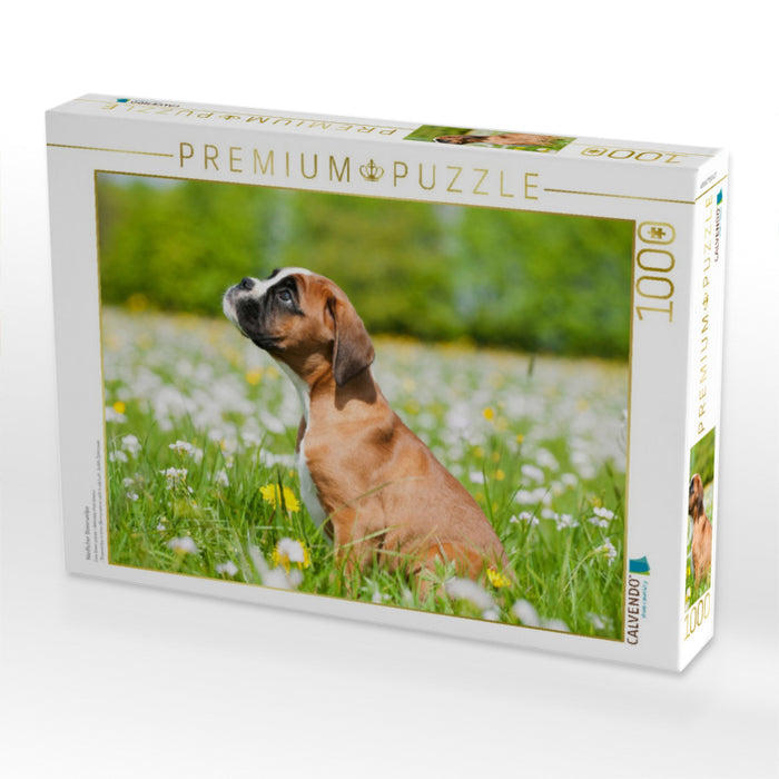 Niedlicher Boxerwelpe - CALVENDO Foto-Puzzle'