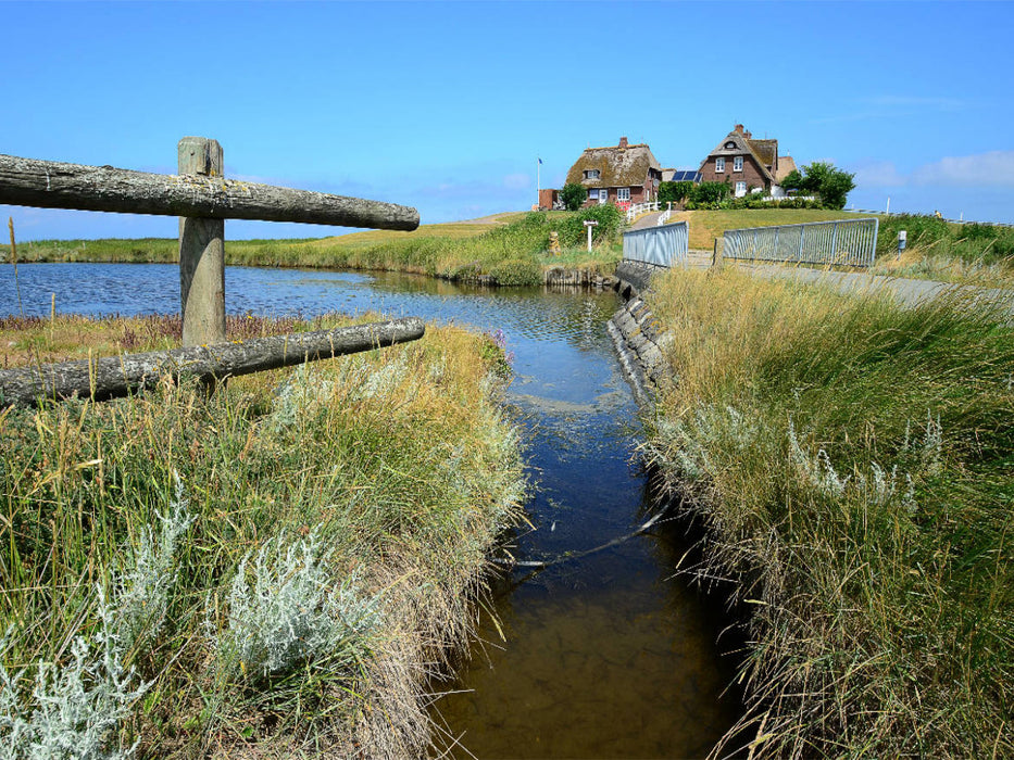 Hallig Hooge - CALVENDO Foto-Puzzle'