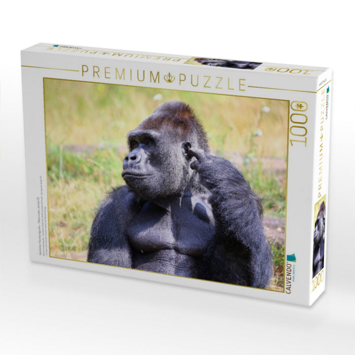 Westlicher Flachlandgorilla – Silberrücken Jambo (3) - CALVENDO Foto-Puzzle'