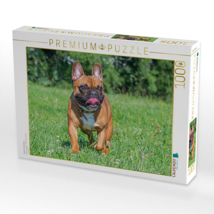 Spaß auf der Wiese - CALVENDO Foto-Puzzle'
