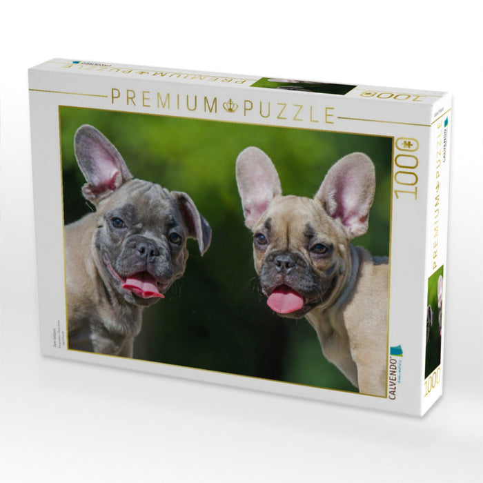 Zwei Welpen - CALVENDO Foto-Puzzle'