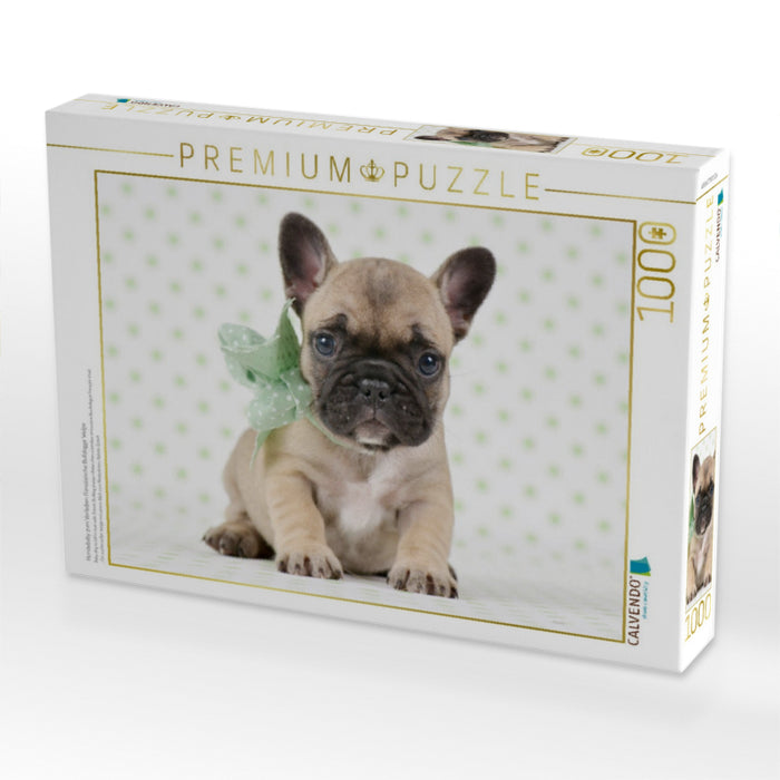 Hundebaby zum Verlieben Französische Bulldogge Welpe - CALVENDO Foto-Puzzle'