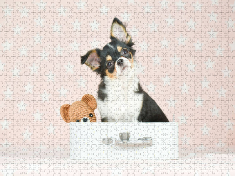 Süßer Chihuahua mit Teddy - CALVENDO Foto-Puzzle'
