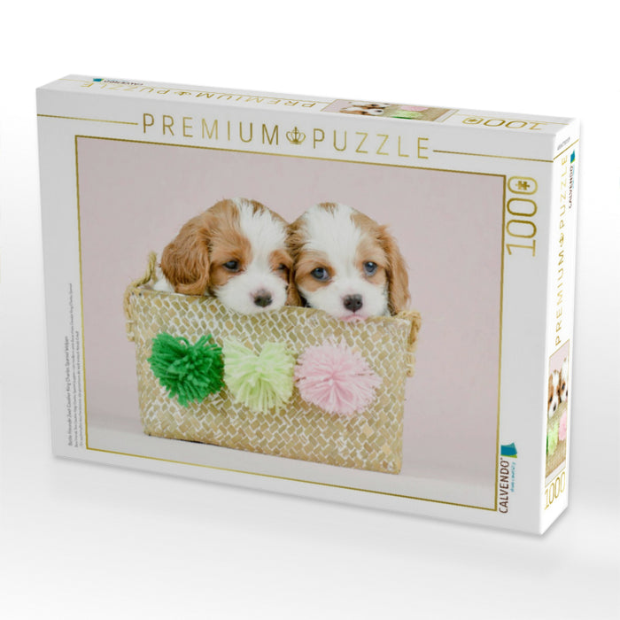 Beste Freunde Zwei Cavalier King Charles Spaniel Welpen - CALVENDO Foto-Puzzle'