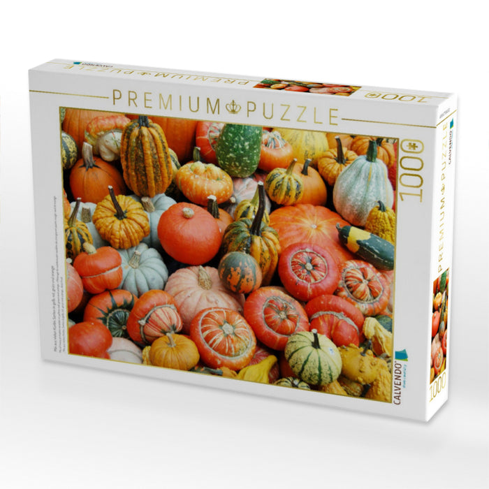 Mix aus vielen Kürbis Sorten in gelb, rot, grün und orange. - CALVENDO Foto-Puzzle'