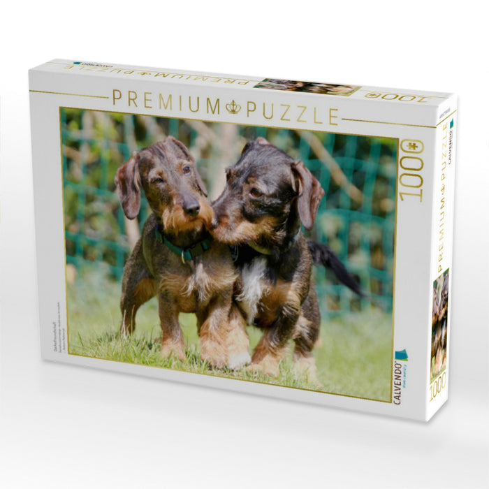 Dackelfreundschaft - CALVENDO Foto-Puzzle'
