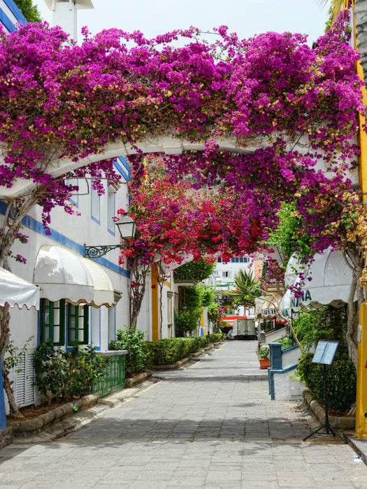 Bougainvillea in Puerto de Mogan at Gran Canaria. - CALVENDO Foto-Puzzle'