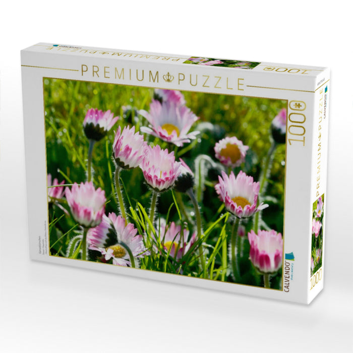 Gänseblümchen - CALVENDO Foto-Puzzle'