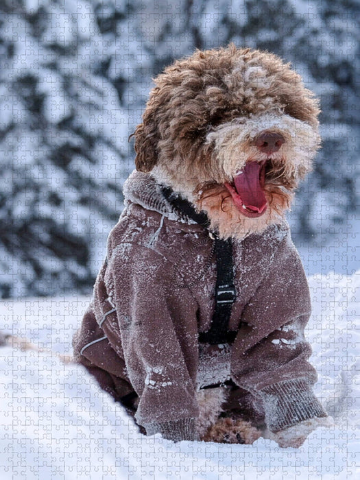 Lagotto Schneealarm - CALVENDO Foto-Puzzle'