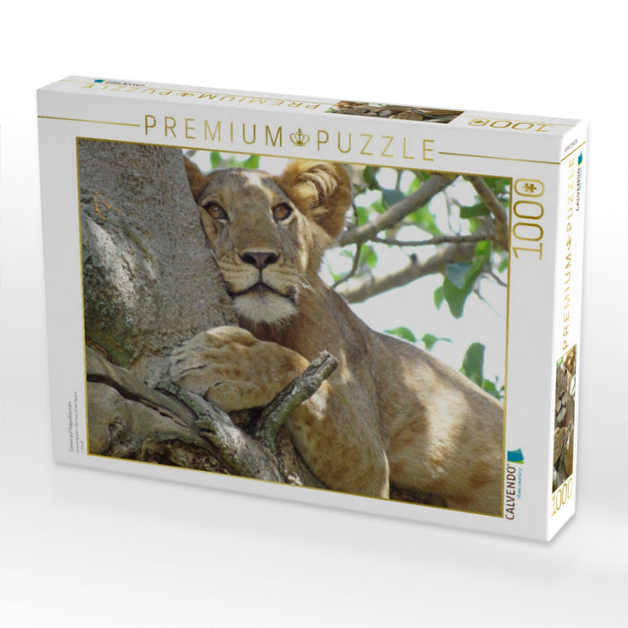 Löwen auf Feigenbäumen - CALVENDO Foto-Puzzle'