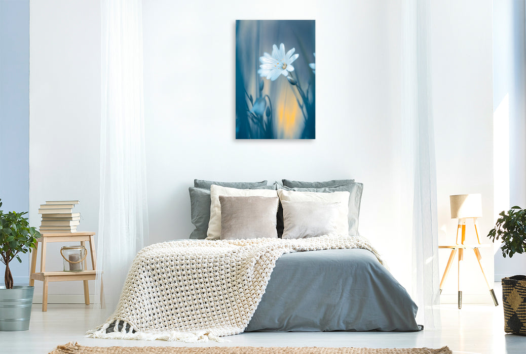 Premium Textil-Leinwand Premium Textil-Leinwand 80 cm x 120 cm  hoch Weiße Blumen - Sternmiere