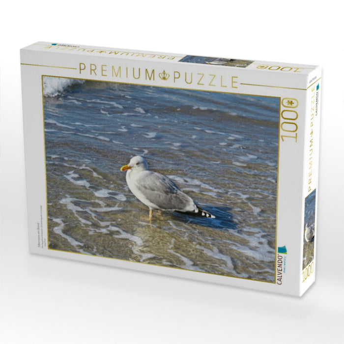 Silbermöwe am Strand - CALVENDO Foto-Puzzle'