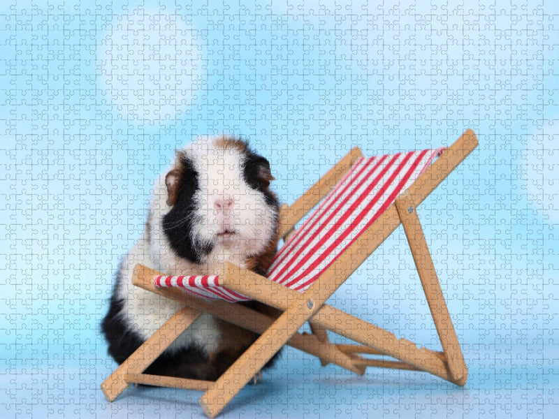 Meerschweinchen - CALVENDO Foto-Puzzle'