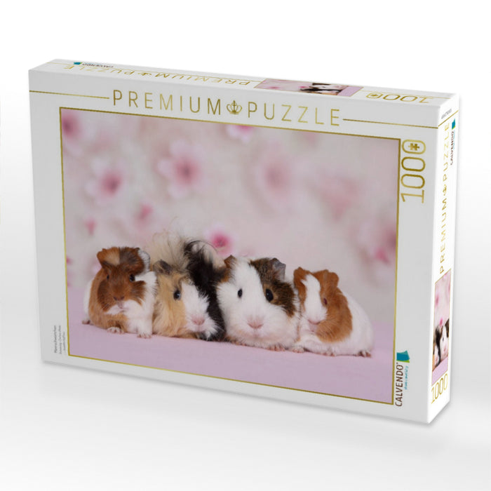 Meerschweinchen - CALVENDO Foto-Puzzle'