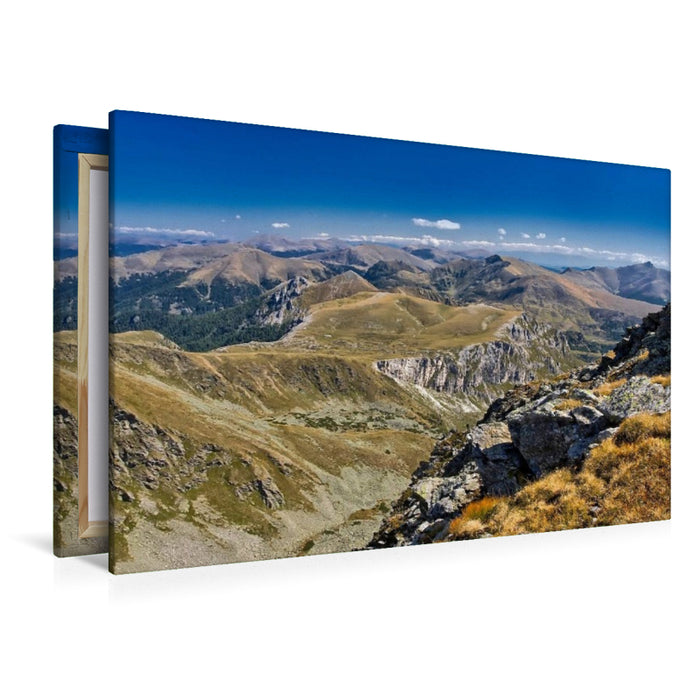 Premium Textil-Leinwand Großer Rosennock