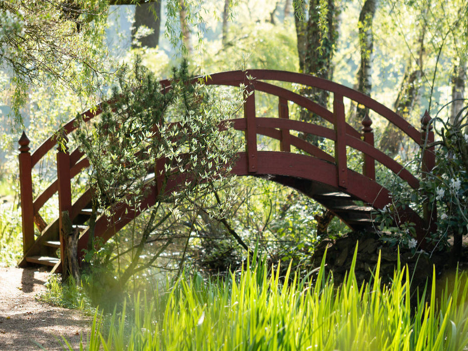 Paradiesbrücke im Grünen - CALVENDO Foto-Puzzle'
