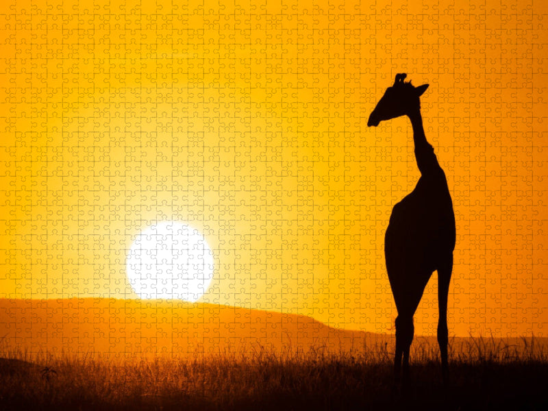 Giraffe vor aufgehender Sonne - CALVENDO Foto-Puzzle'